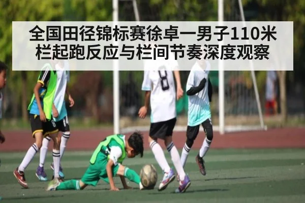 全国田径锦标赛徐卓一男子110米栏起跑反应与栏间节奏深度观察(leyu)